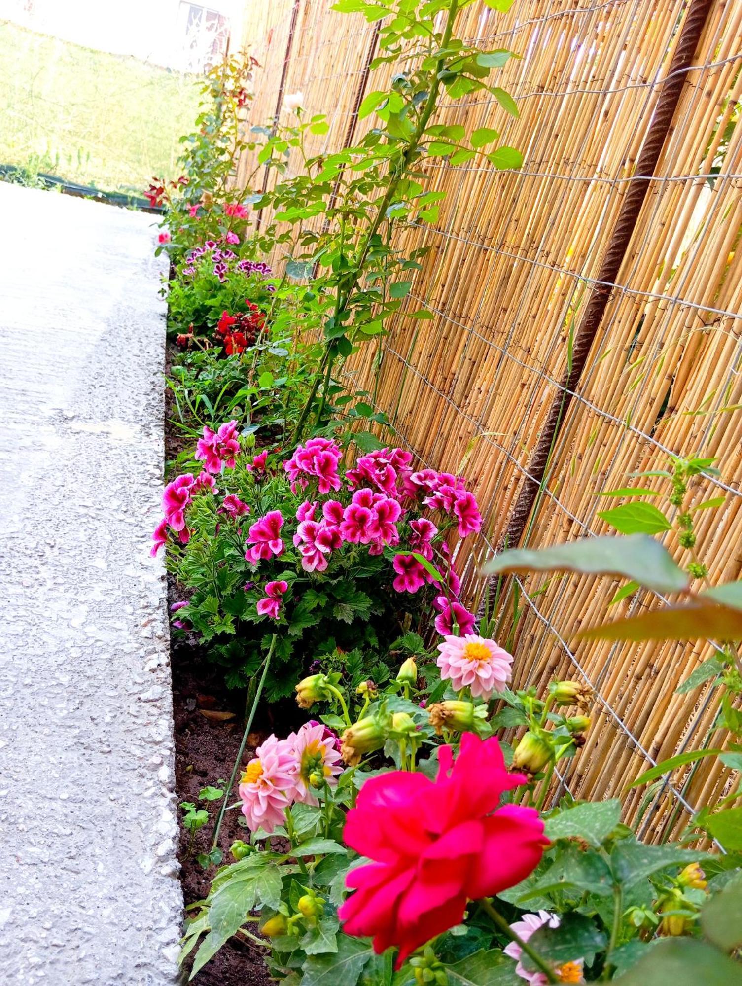 Dream House Souda Vila Exterior foto